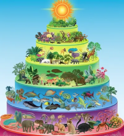 Hình ảnh minh họa kingdoms - Ảnh 1