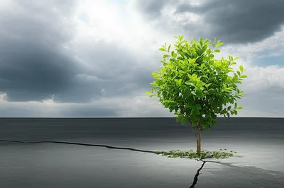 Illustration propagation - Image 1