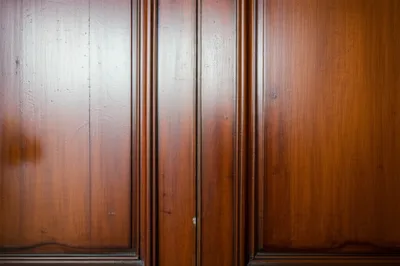 Illustration astragals - Image 1