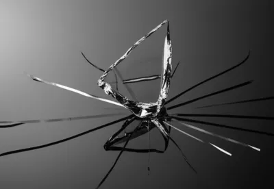 Illustration sharply - Image 1