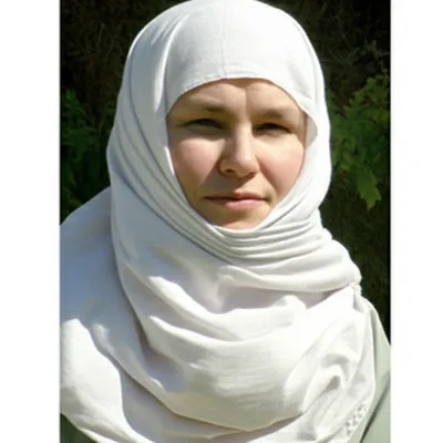 Illustration wimple - Image 1