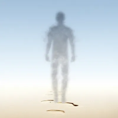 Hình ảnh minh họa flees - Ảnh 1