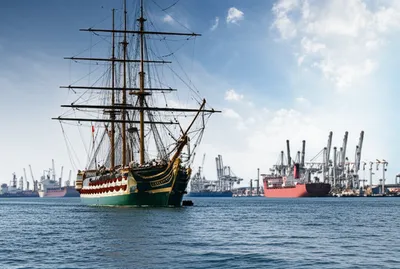 Illustration marine - Image 1