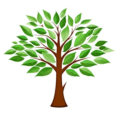 Illustration flexion - Image 1