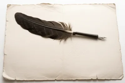 Illustration copy - Image 1