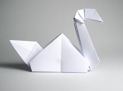 Illustration folding - Image 1