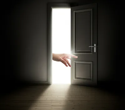 Illustration shot - Image 1