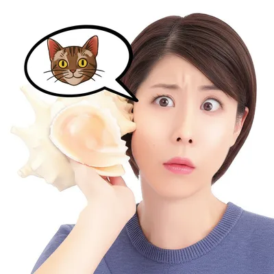 Illustration mishearing - Image 1