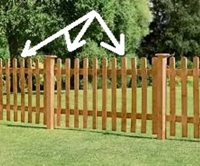 Illustration pale - Image 2