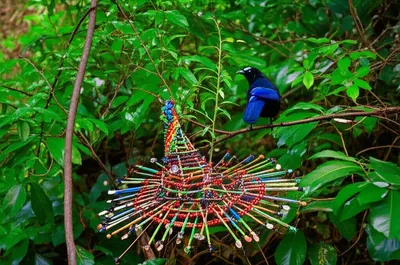 Illustration maypole - Image 1