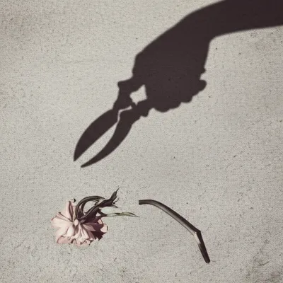 Illustration got - Image 1