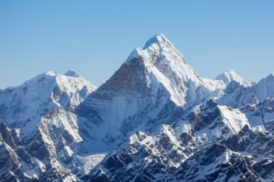 Illustration crests - Image 1