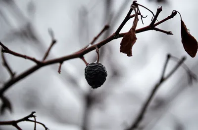 Illustration scantlings - Image 1