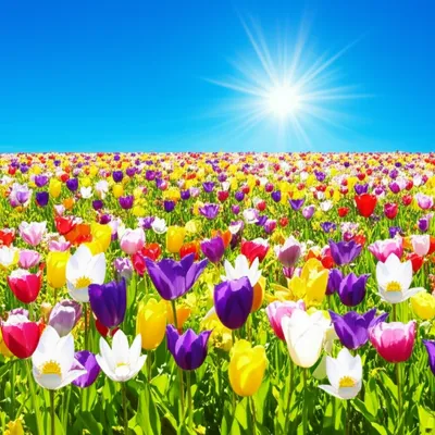 Illustration sweeter - Image 1