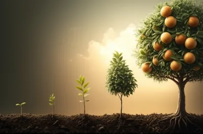 Illustration accomplishment - Image 1