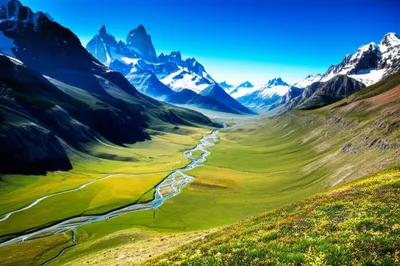 Illustration park - Image 1