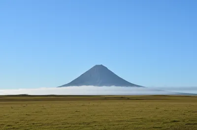 Illustration plains - Image 1