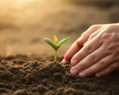 Illustration midwifed - Image 1