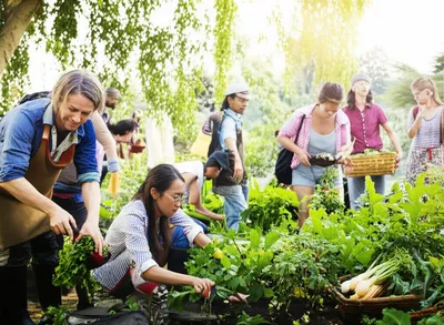 Illustration communal - Image 1