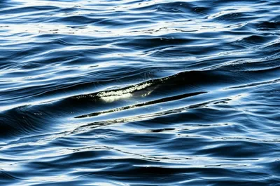 Illustration wash - Image 1