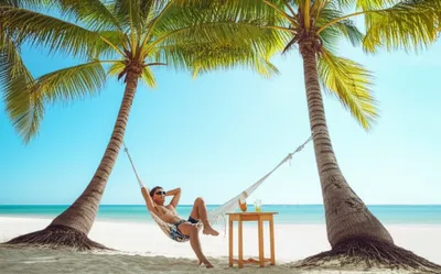 Illustration idler - Image 1