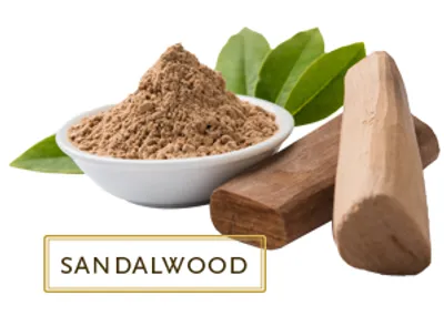 Illustration sandal - Image 2