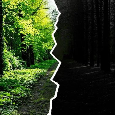 Illustration demarcated - Image 1