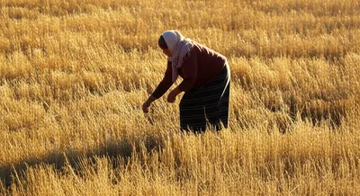 Illustration leased - Image 1