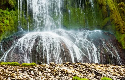 Illustration purges - Image 1