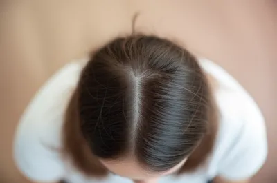 Illustration shed - Image 1