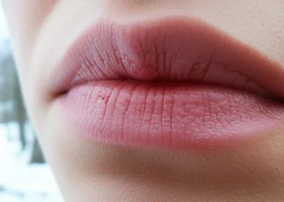 Illustration chaps - Image 1