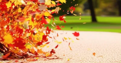 Illustration flurry - Image 1