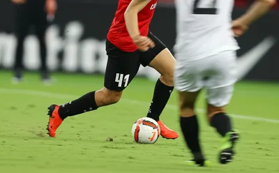 Illustration rolls - Image 1