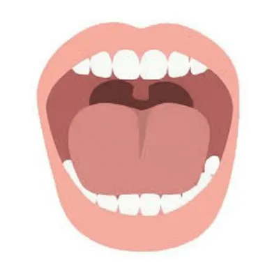 Illustration hi - Image 1