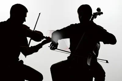 Illustration duet - Image 1