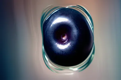 Illustration strains - Image 1