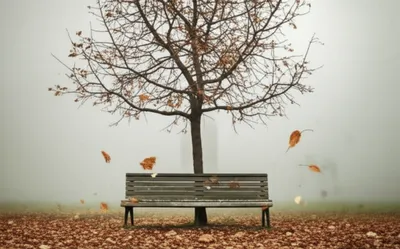 Illustration slowest - Image 1