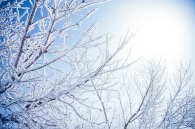 Illustration freeze - Image 1