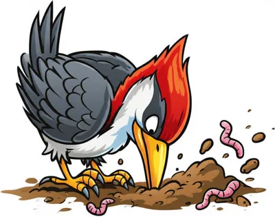 Illustration bills - Image 1