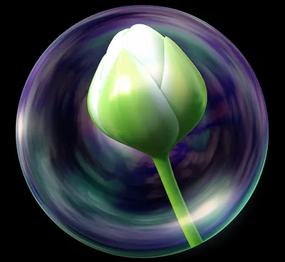 Illustration casings