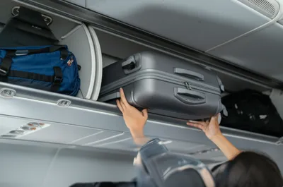 Illustration stowing - Image 1