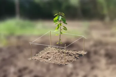 Illustration lots - Image 1