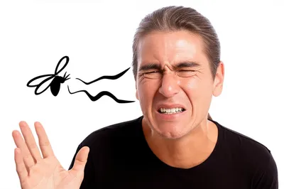 Illustration irritating - Image 1