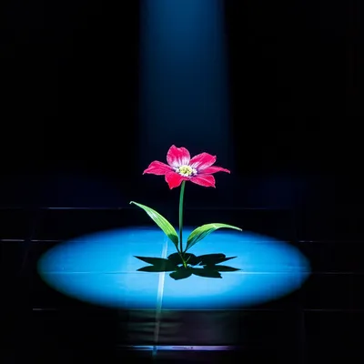 Illustration contrives - Image 1