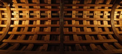 Illustration rungs - Image 1