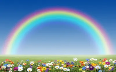 Illustration iris - Image 1