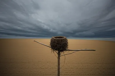 Illustration undefended