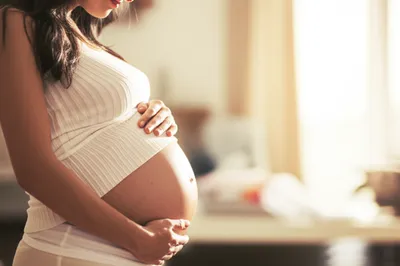 Illustration expects - Image 1