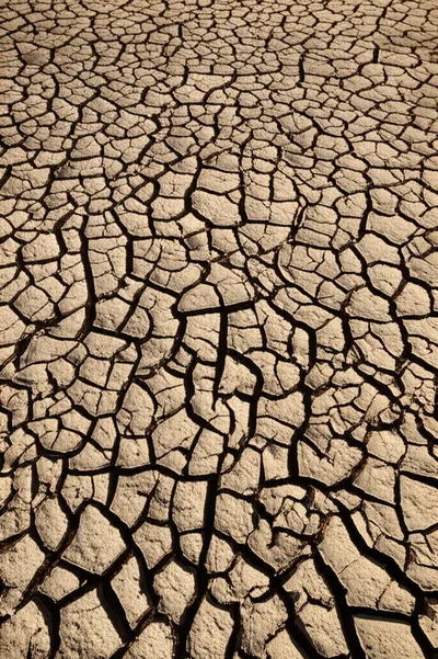 Illustration cracked