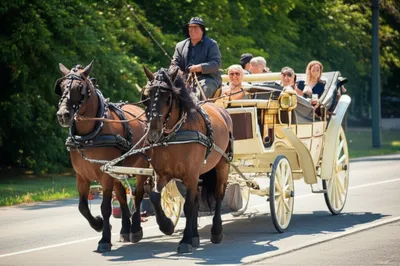 Illustration tools - Image 1